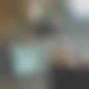 Wózek Wielofunkcyjny | CARRYMAX