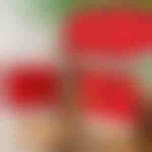 Świąteczne pokrowce na krzesła do jadalni (4 sztuki) | SANTASEAT