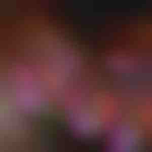 Światła ogrodowe w kształcie kwiatów zasilane energią słoneczną | BLOSSUN