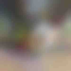 Rozdrabniacz i krajalnica do warzyw 12 w 1 | CHOPMASTER