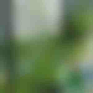 Płytki ze sztucznej trawy do dekoracji (5 szt.) | GRASSTILE