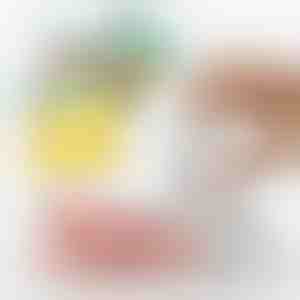 Szybka i łatwa zgrzewarka próżniowa do żywności i pompka powietrza | QUICKSEAL