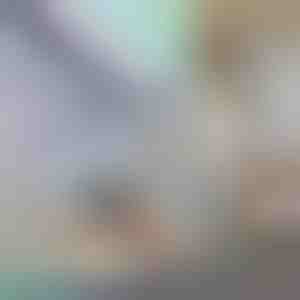 Dekoracyjna i chroniąca prywatność folia okienna | PRISMWRAP