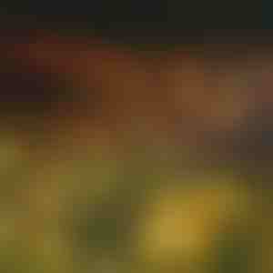 Solarna girlanda świetlna z 6 żarówkami LED | SOMPEX